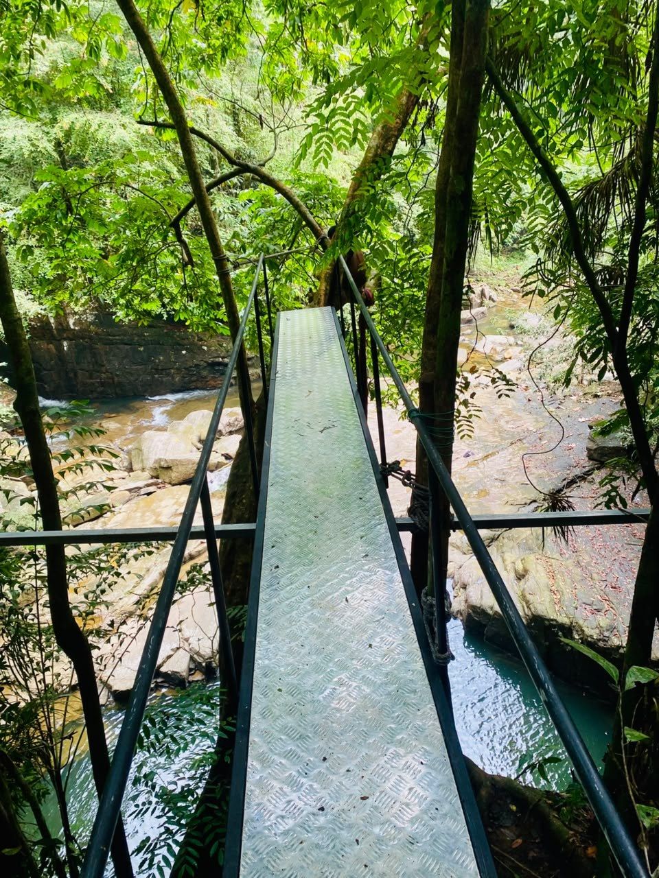 A metal jumping platform reaches out over a green rock pool